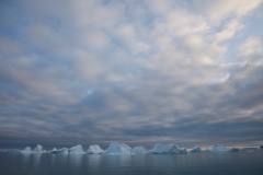 Icebergs around Isortoq 2
