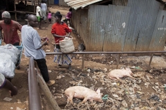 Pigsty