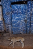 A Slumdog