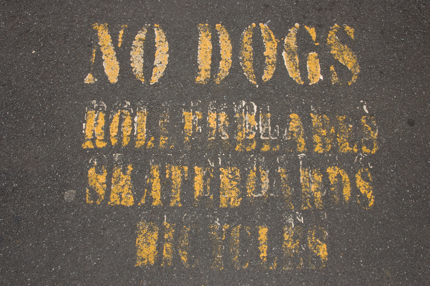 no-dogs-new-zealand
