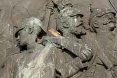 bird-nesting-siegessaule-berlin