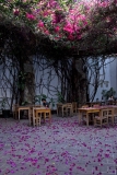 cafe-mexico