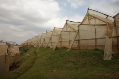green-houses-kenya-2