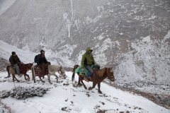 On the way to Thorung Pedi 1