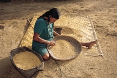 chiman-woman