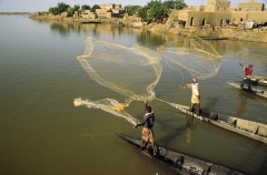 mali