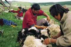 mongolia-1