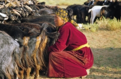 mongolia-2