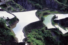 banaue-the-philippines