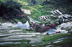 batad-the-philippines