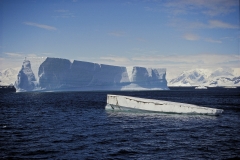 icebergs-antarctica