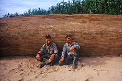 abell-and-nissen-amazonia