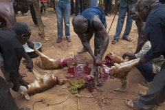 Uganda Slideshow39