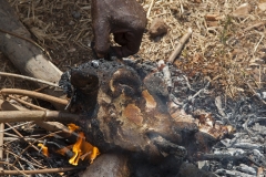 Uganda Slideshow45
