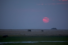 sunset-amboseli