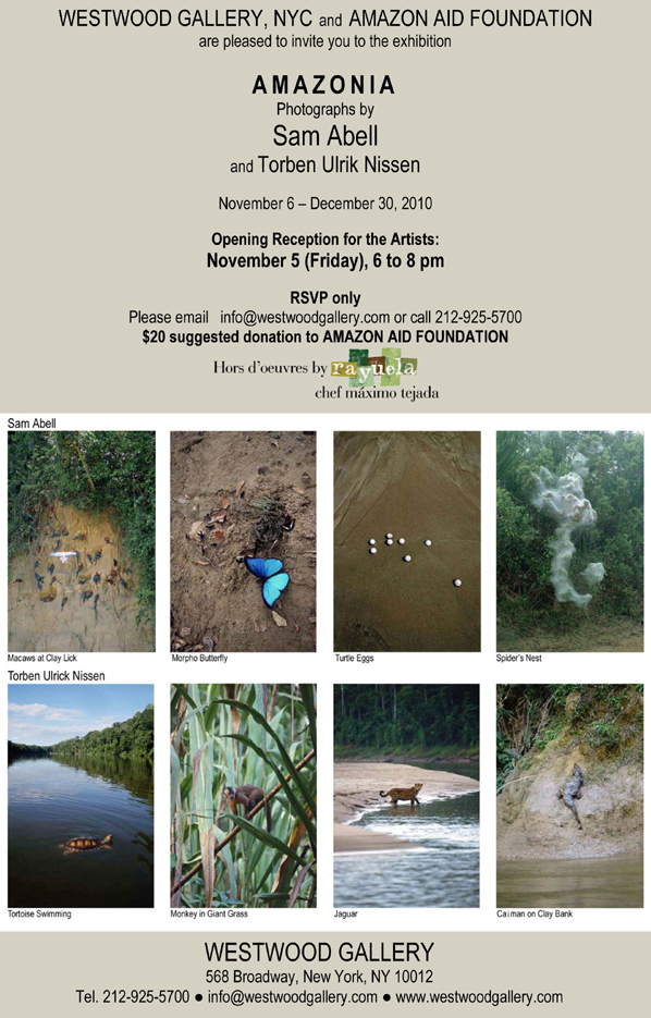Westwood Gallery AMAZONIA email invitation
