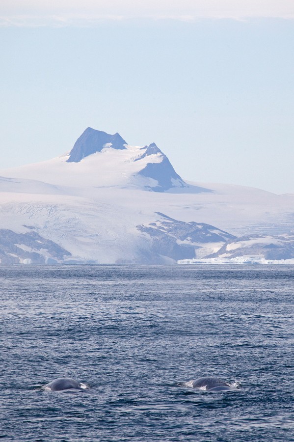 Greenland