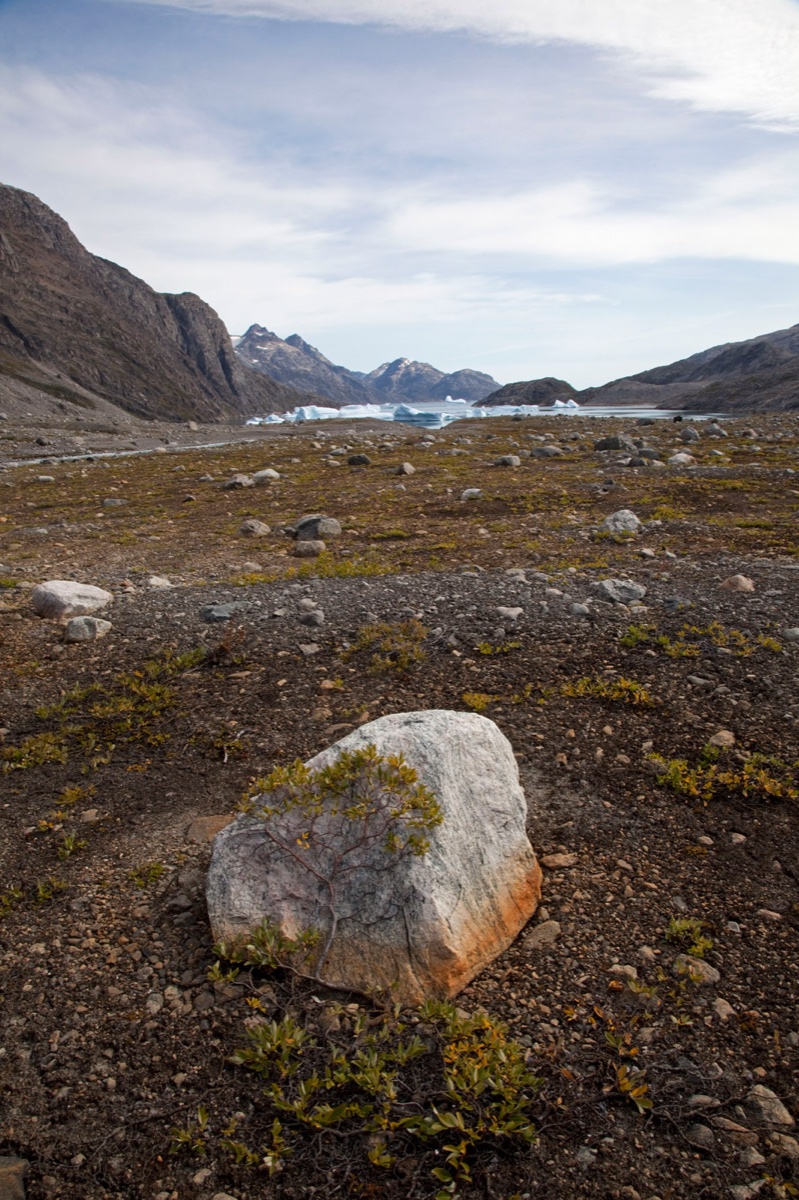 Greenland