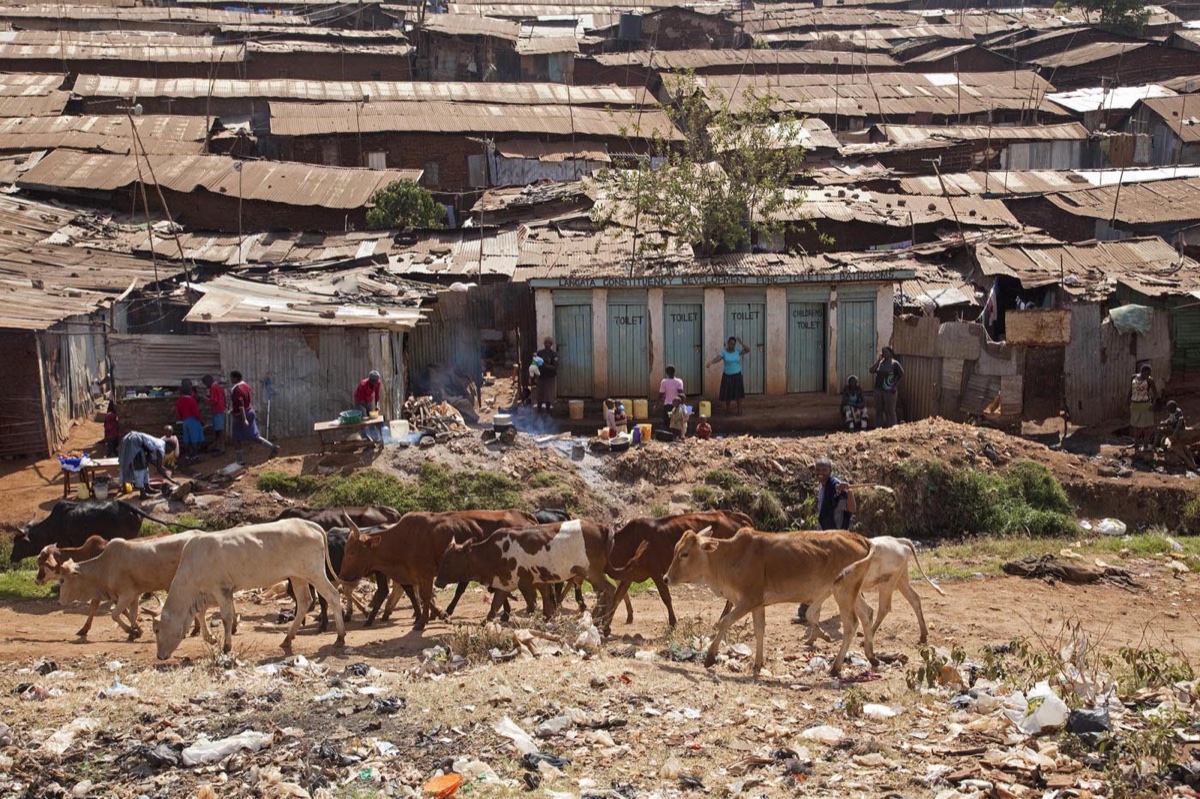 Kibera – a Slum Area
