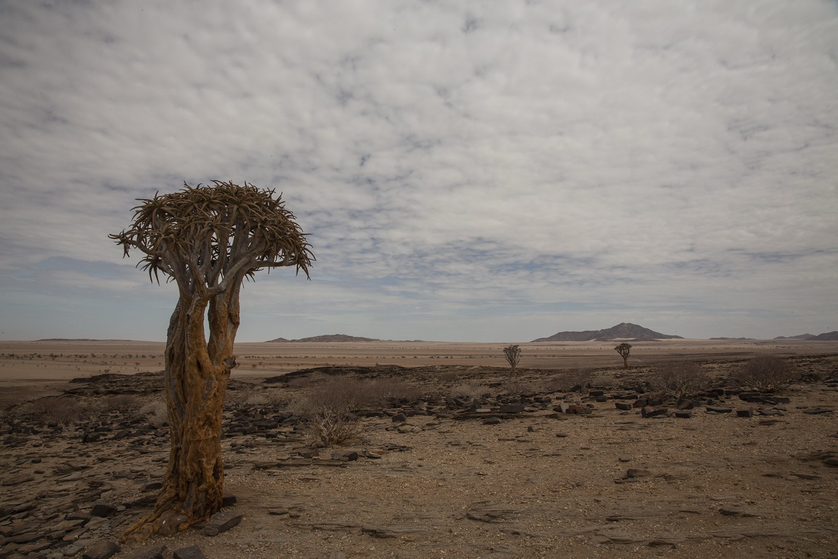 Namibia
