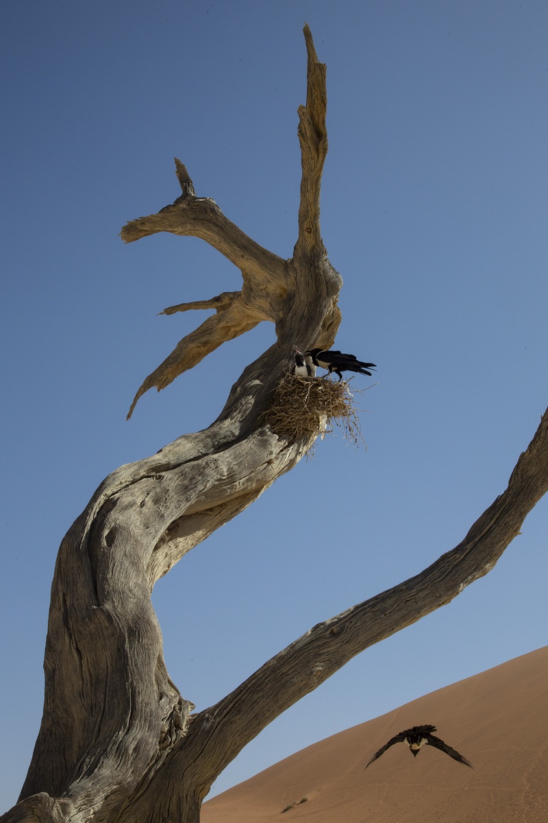 Namibia