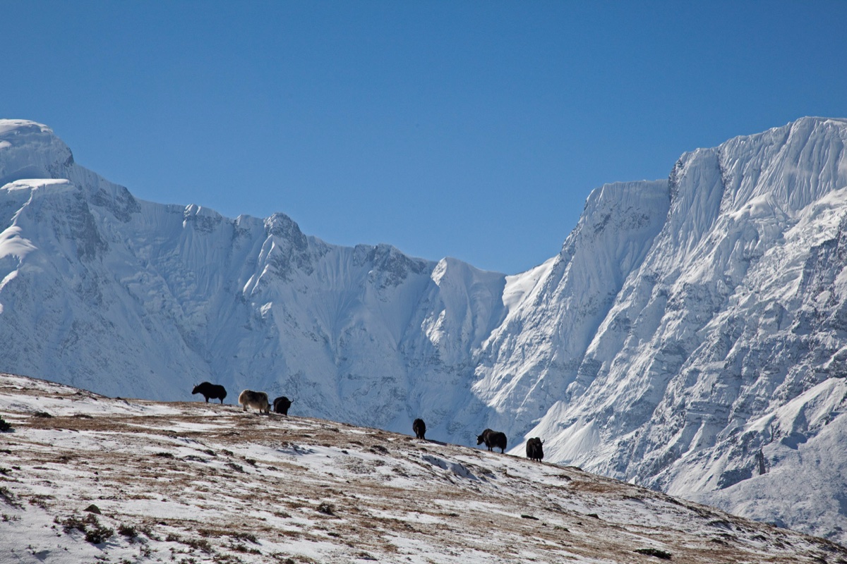Nepal