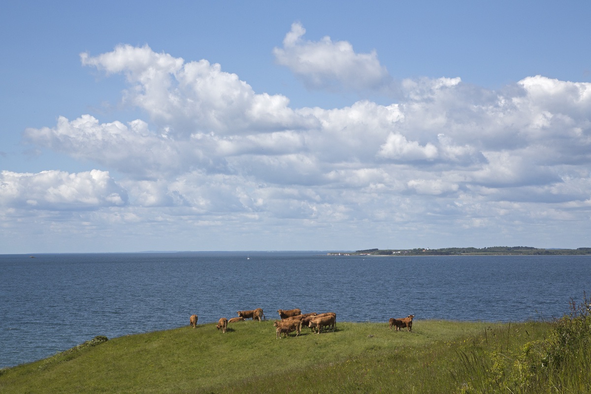 Samsø