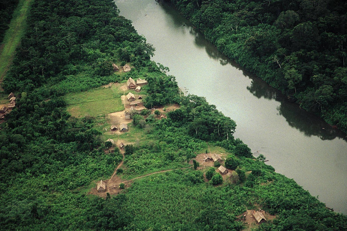The Amazon