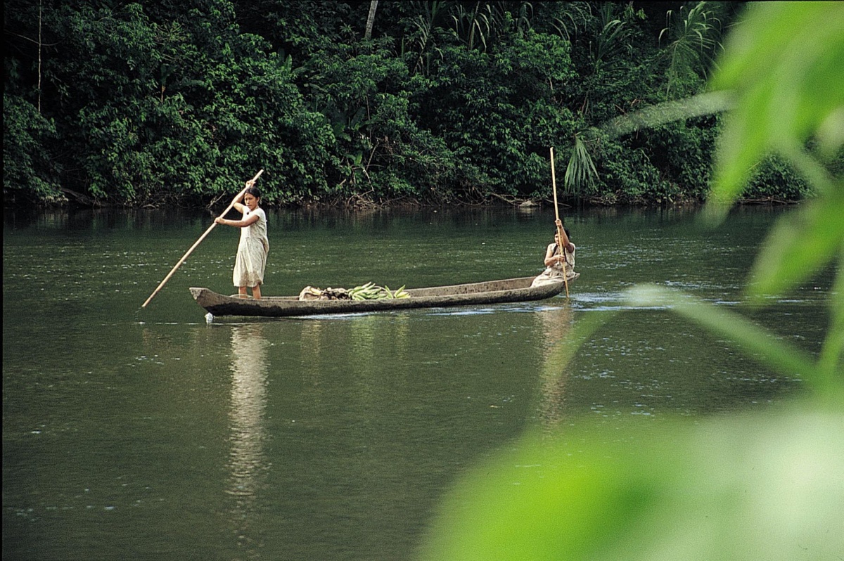 The Amazon