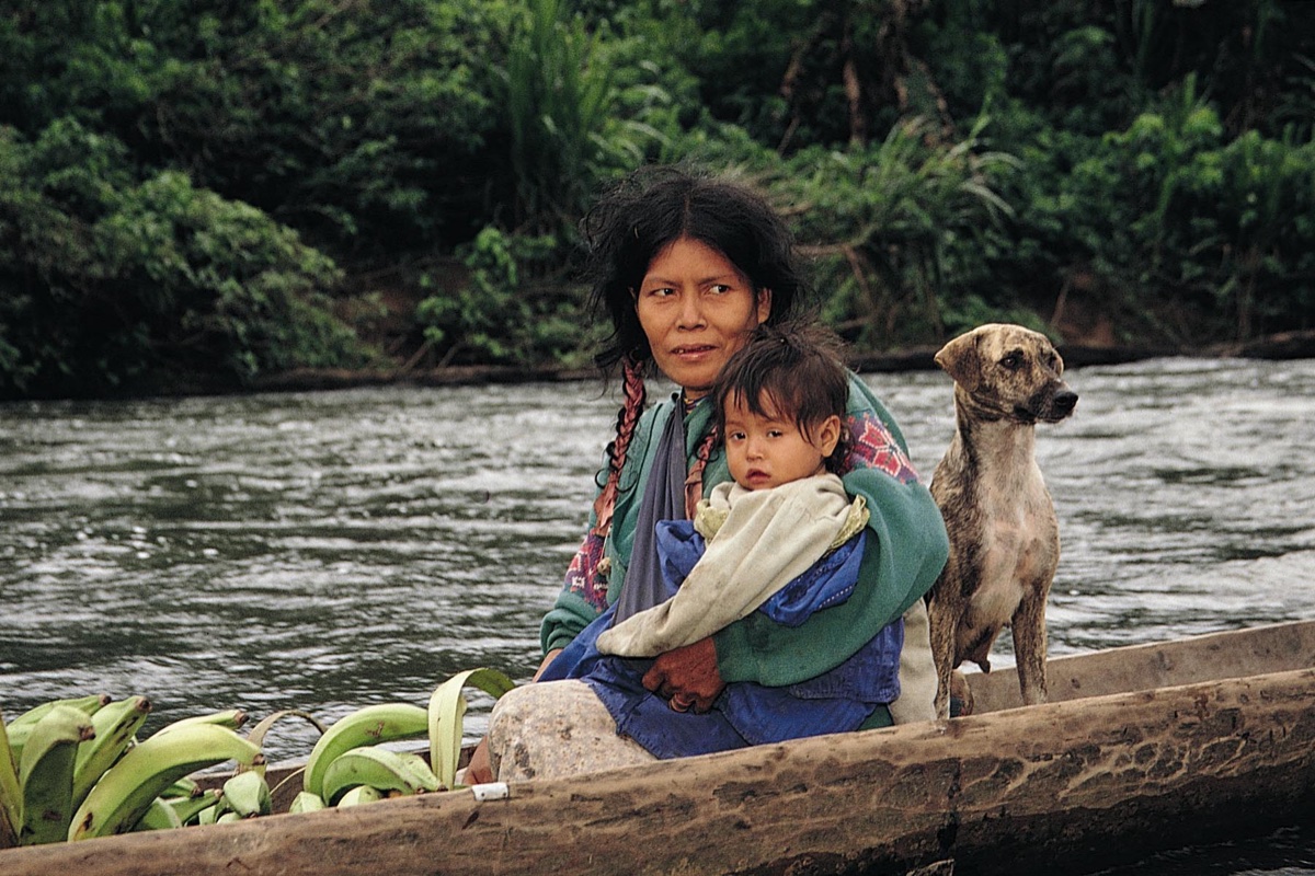 The Amazon