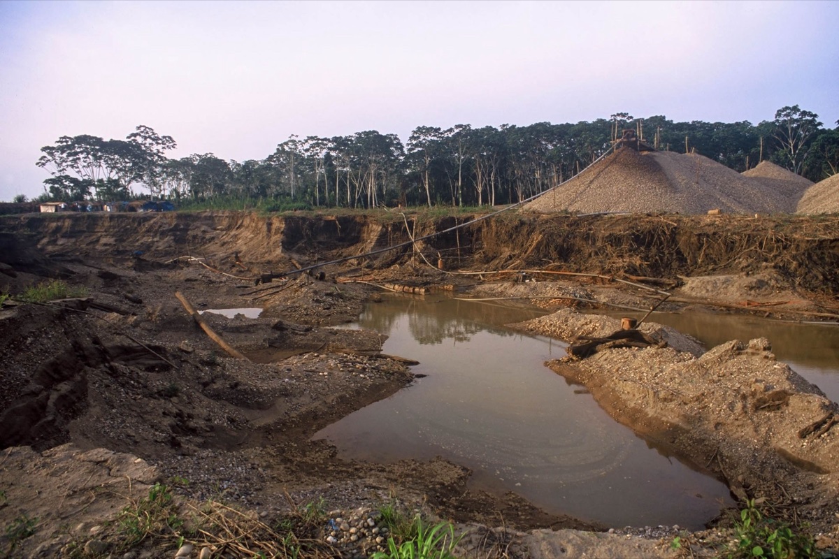 The Amazon