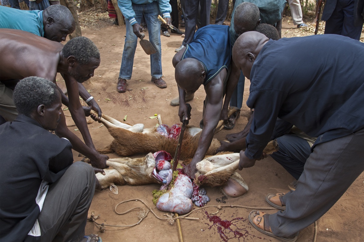 Uganda